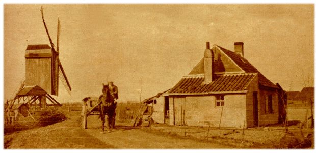 Klik voor de volgende foto