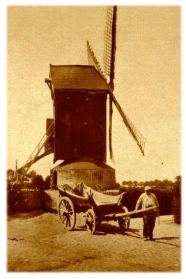 Klik voor de volgende foto