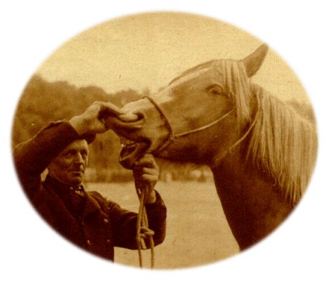 Klik voor de volgende foto