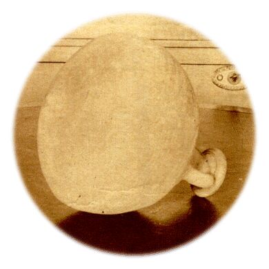 Klik voor de volgende foto