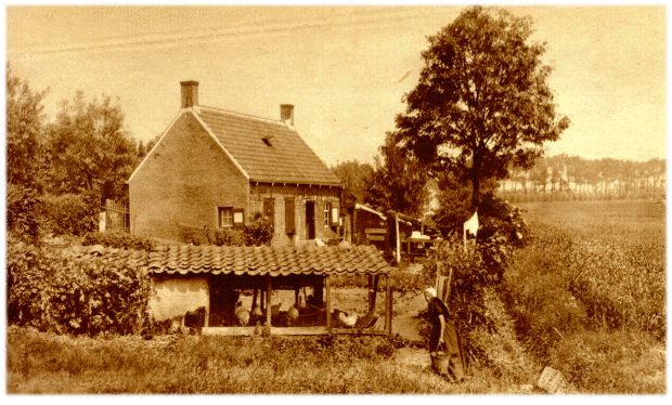 Klik voor de volgende foto