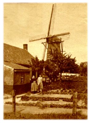 Klik voor de volgende foto