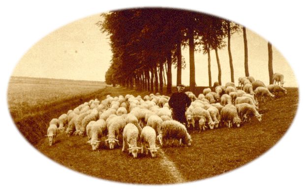 Klik voor de volgende foto