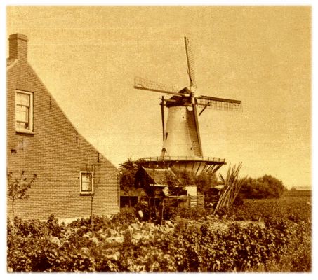 Klik voor de volgende foto