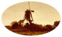 ed292107.jpg