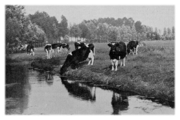 Klik voor de volgende foto