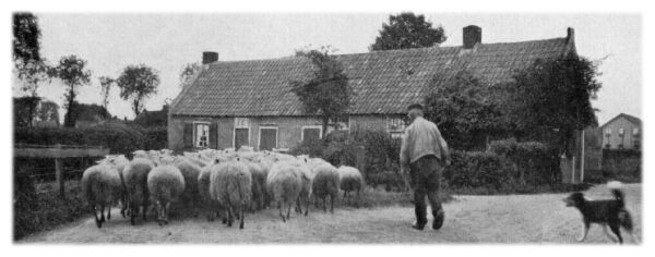 Klik voor de volgende foto
