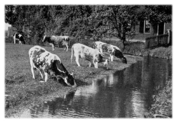 Klik voor de volgende foto