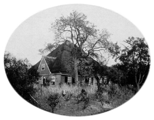 Klik voor de volgende foto