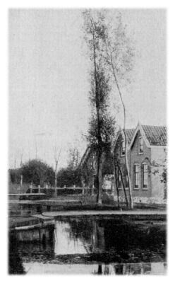 Klik voor de volgende foto