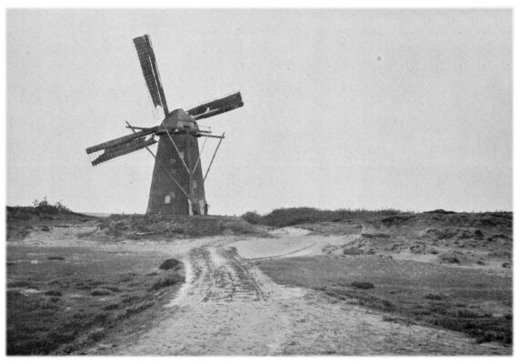 Klik voor de volgende foto