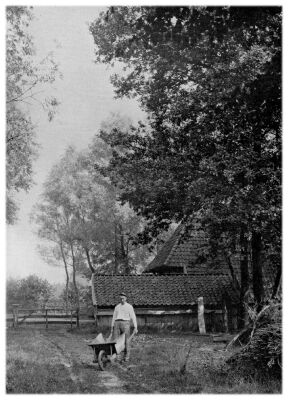 Klik voor de volgende foto