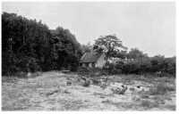 Anw1063a.jpg