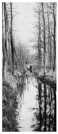 Anw3061d.jpg