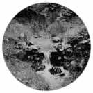 Anw4064c.jpg