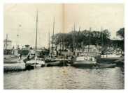 oz270204.jpg