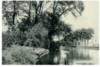 oz271912.jpg