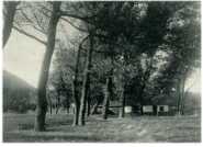 oz271913.jpg
