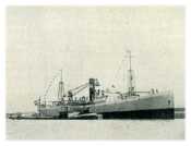 oz272005.jpg