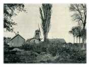 oz272217.jpg