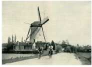 oz272222.jpg