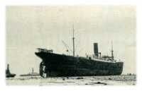 oz272403.jpg