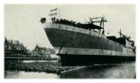 oz272811.jpg