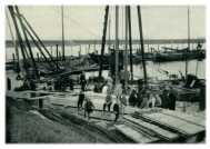 oz273006.jpg