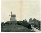 oz273417.jpg