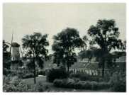 oz273614.jpg