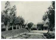 oz274213.jpg