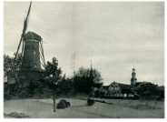oz274407.jpg