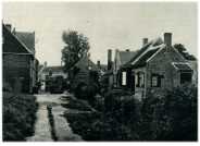 oz274413.jpg