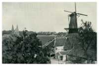 oz274523.jpg