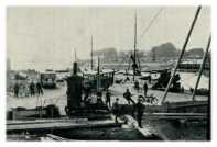 oz274613.jpg
