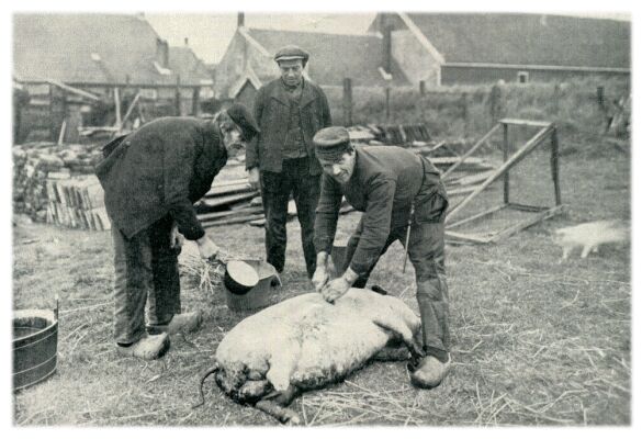 Klik voor de volgende foto
