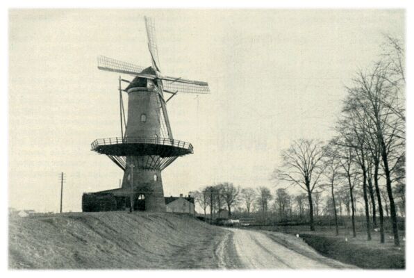 Klik voor de volgende foto