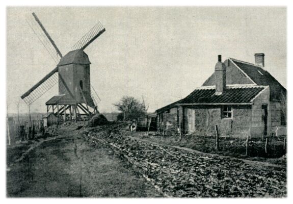 Klik voor de volgende foto