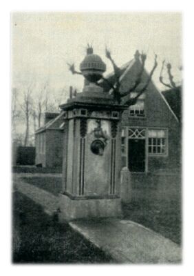 Klik voor de volgende foto