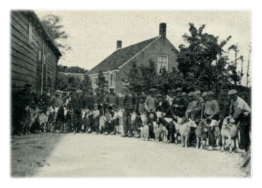 Klik voor de volgende foto
