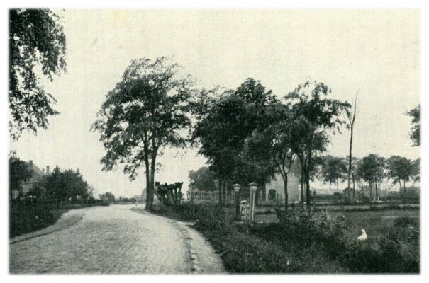Klik voor de volgende foto