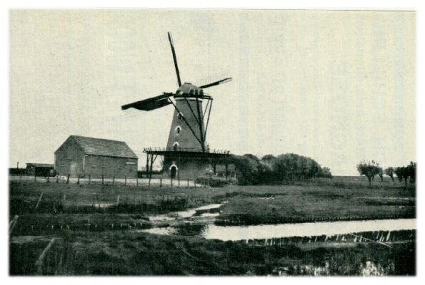 Klik voor de volgende foto