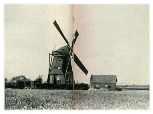 Klik voor de volgende foto