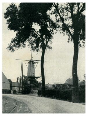 Klik voor de volgende foto