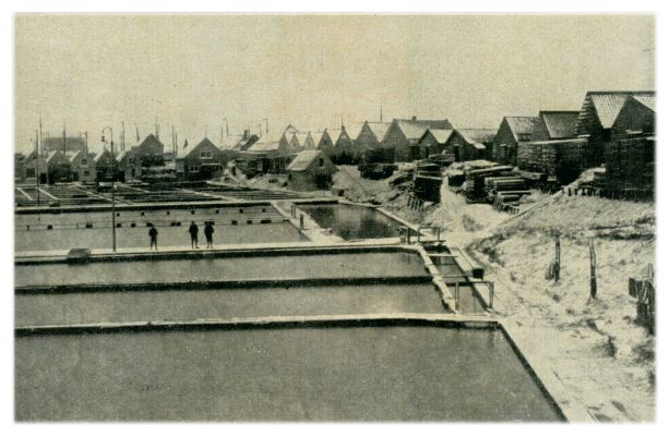Klik voor de volgende foto