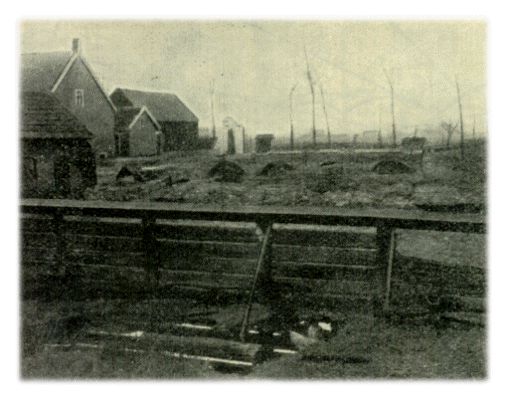 Klik voor de volgende foto