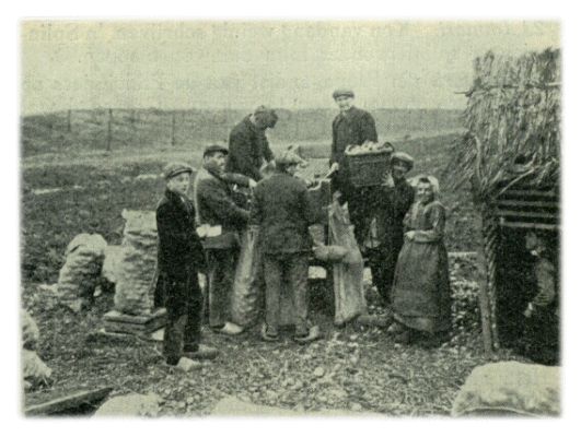 Klik voor de volgende foto
