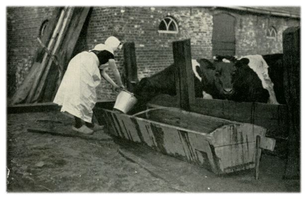 Klik voor de volgende foto
