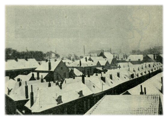 Klik voor de volgende foto