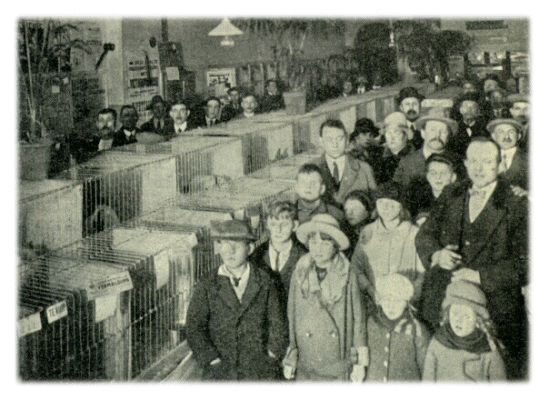 Klik voor de volgende foto